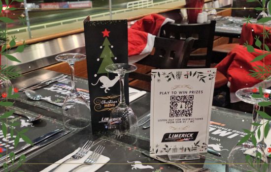 Limerick Greyhound Stadium is the perfect Limerick Christmas Party Venue. Dine in our restaurant with excellent views of the racing action on the track!