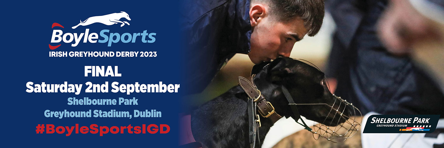 2023 BoyleSports Irish Greyhound Derby Final is on Saturday 2nd September 