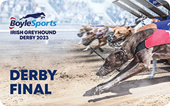 Click here to visit the Final of the 2023 BoyleSports Irish Greyhound Derby in Dublin’s Shelbourne Park Greyhound Stadium