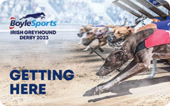 Click here to see How to get to the 2023 BoyleSports Irish Greyhound Derby in Dublin’s Shelbourne Park Greyhound Stadium