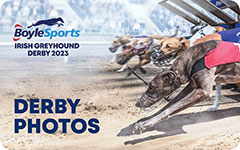 Click here to view Photos of the 2023 BoyleSports Irish Greyhound Derby in Dublin’s Shelbourne Park Greyhound Stadium
