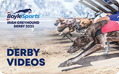Click here to view Videos of the 2023 BoyleSports Irish Greyhound Derby in Dublin’s Shelbourne Park Greyhound Stadium