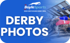 Click here to view photos from the 2024 BoyleSports Irish Greyhound Derby