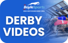 Click here to view videos from the 2024 BoyleSports Irish Greyhound Derby