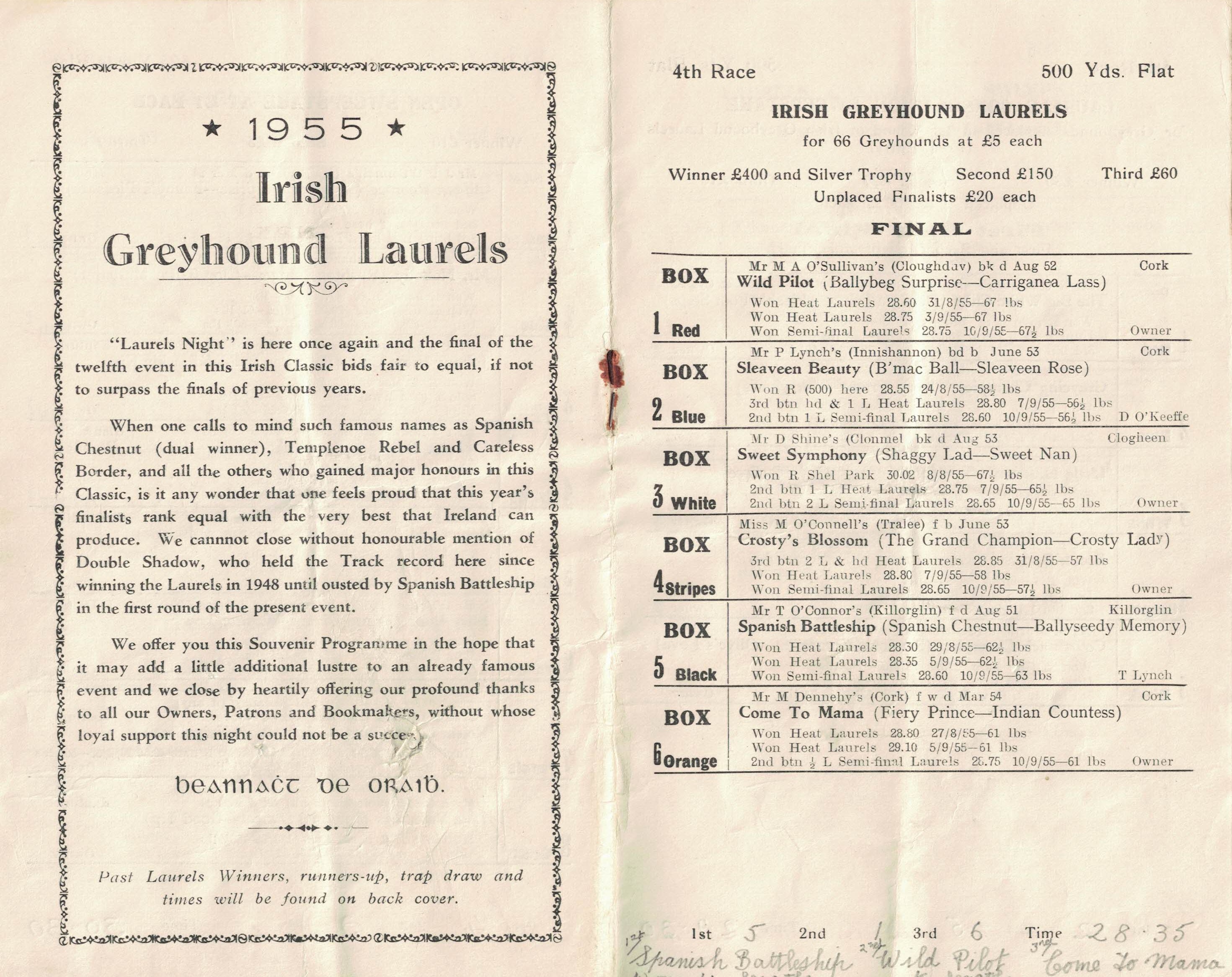 Irish Greyhound Laurels Race Card 1955