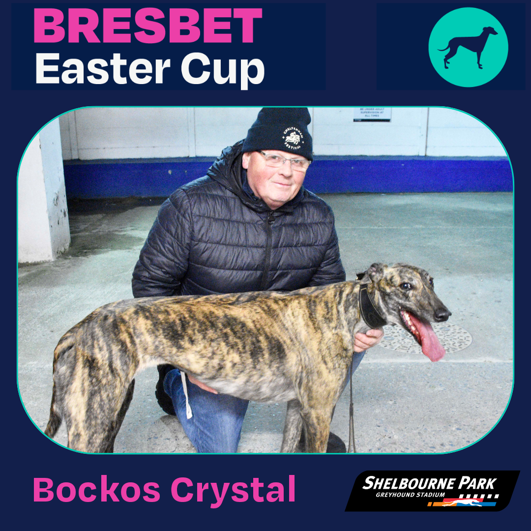 BresBet Easter Cup Bockos Crystal
