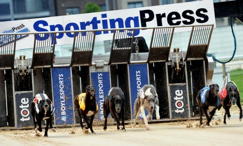 Don't miss the Sporting Press Irish Oaks on now in Shelbourne Park Greyhound Stadium