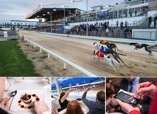 You'll have plenty to choose from with a gift voucher to your local Greyhound Stadium including exciting racing and a delicious meal in our restaurant