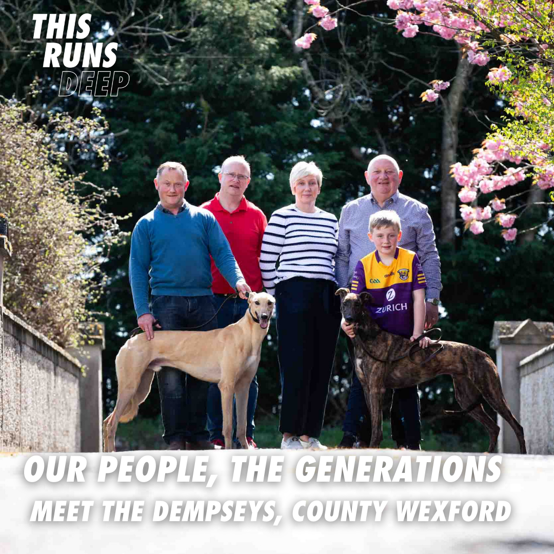 Meet the Dempsey family from Co. Wexford - one of the many generations involved in Irish Greyhound Racing and featured in the Our People, The Generations series from Greyhound Racing Ireland